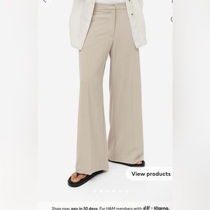 H&M Wide Leg Dress Pant